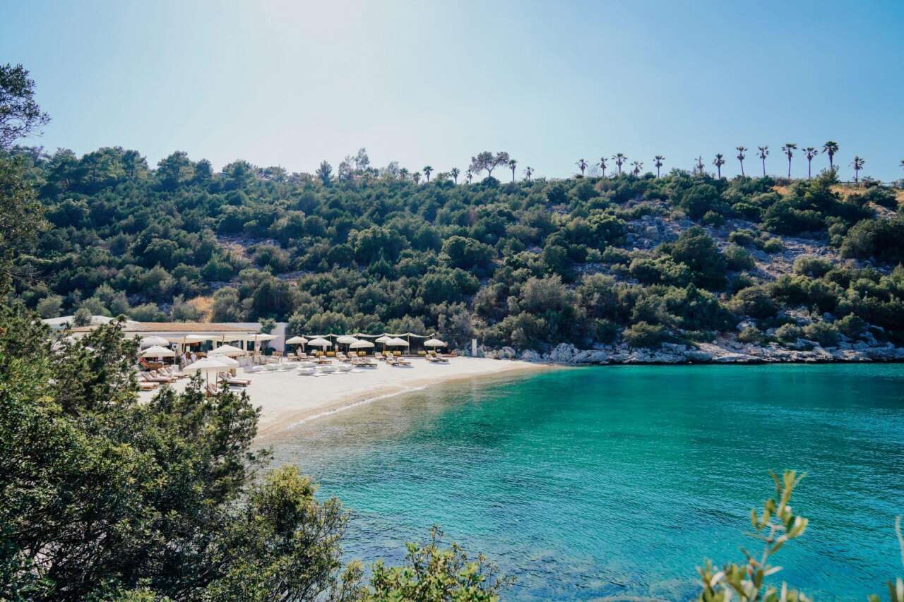 Bodrum'da Lahmacun Lobisi Tepkisi... 13